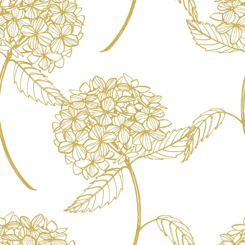 hortensia grafisk illustration i årgång stil. blommor teckning och skiss med linjekonst på vit bakgrunder. botanisk växt illustration. handskriven abstrakt text vektor
