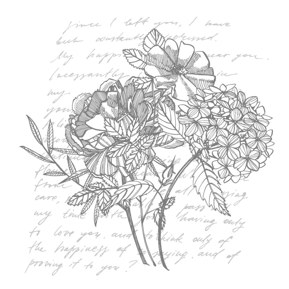 Strauß. Frühling Blumen und Zweige. Pfingstrosen, Hortensie, Rose. Jahrgang botanisch Illustration. schwarz und Weiß einstellen von Zeichnung Kornblumen, Blumen- Elemente, Hand gezeichnet botanisch Illustration. vektor