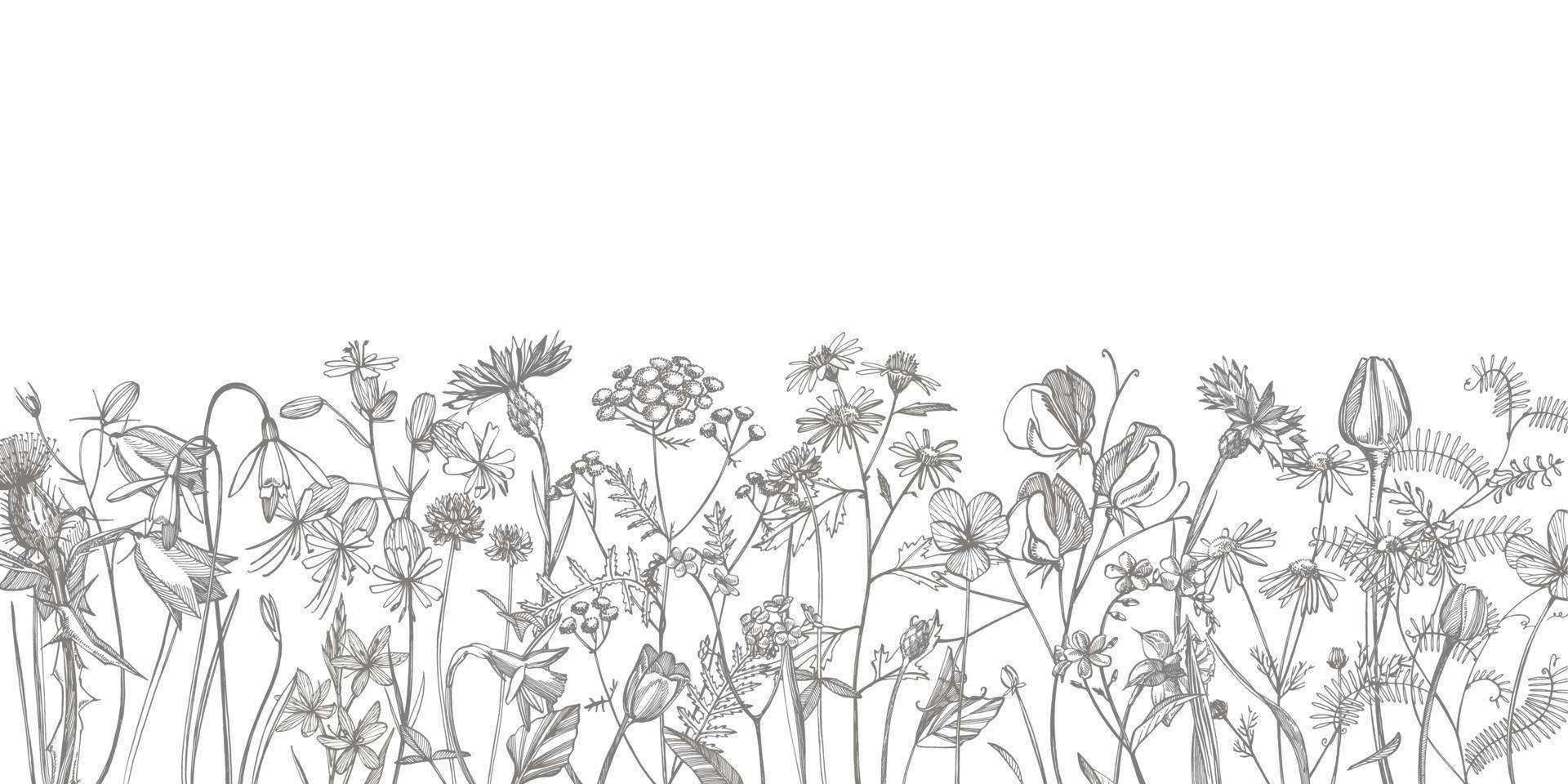 samling av hand dragen blommor och örter. botanisk växt illustration. årgång medicinsk örter skiss uppsättning av bläck hand dragen medicinsk örter och växter skiss vektor