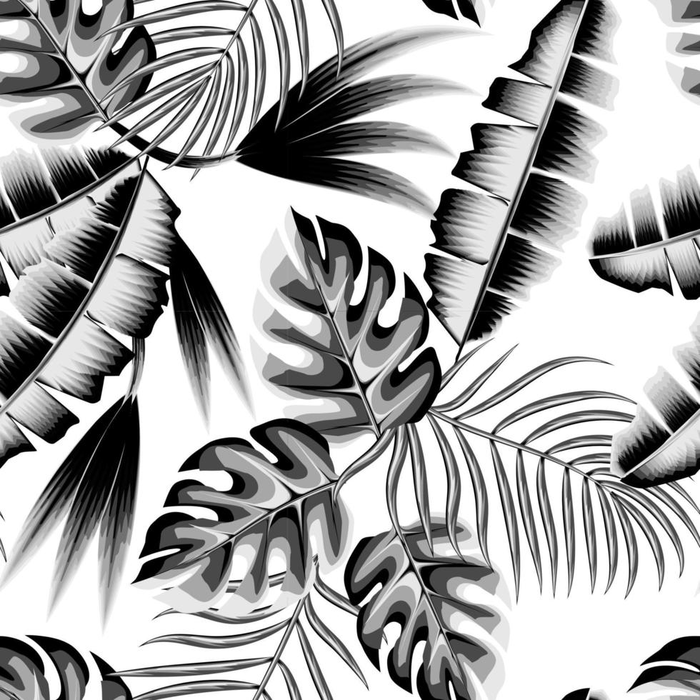 årgång enfärgad banan handflatan löv sömlös mönster med tropisk monstera blad och växter lövverk på vit bakgrund. exotisk tapet. modern grafik textur. interiör design. sommar konst vektor