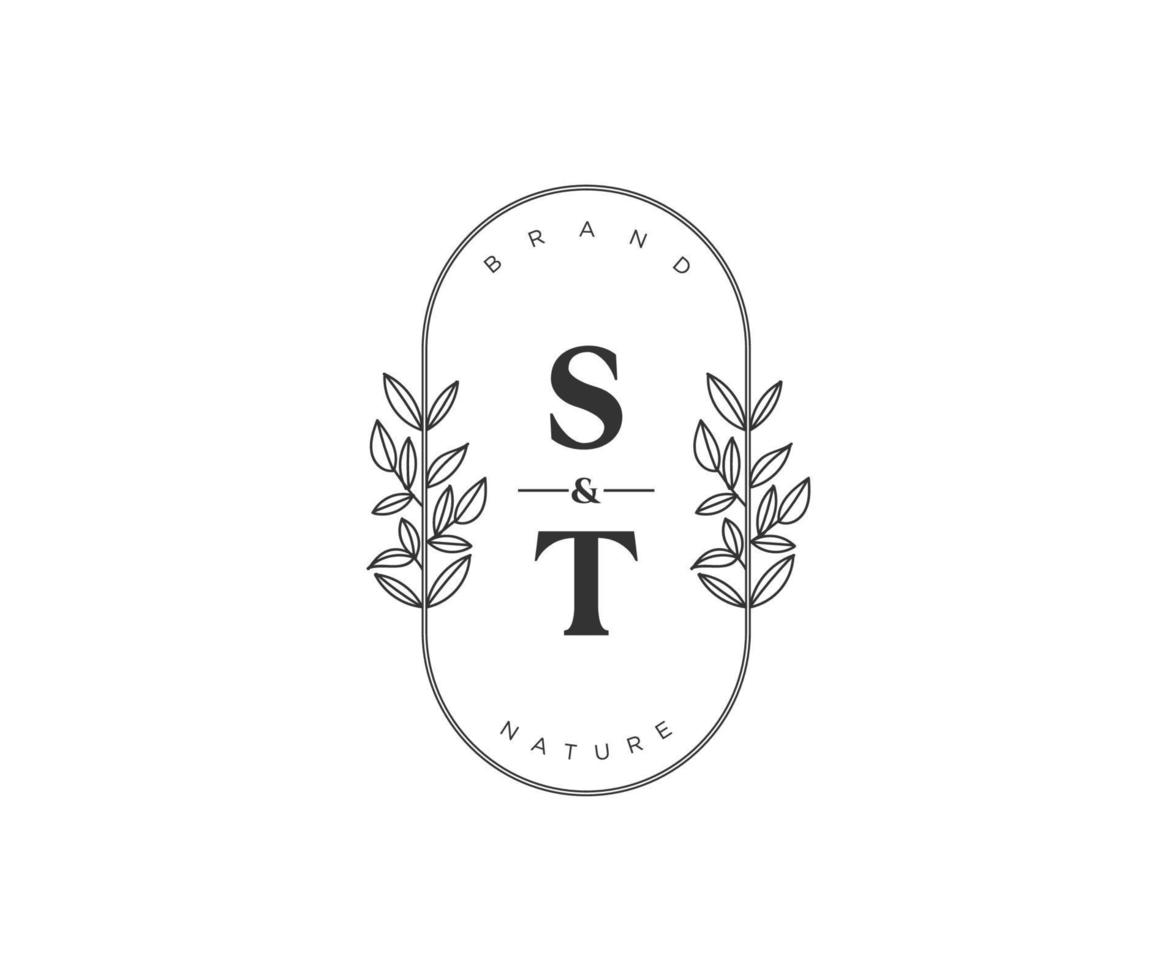 Initiale st Briefe schön Blumen- feminin editierbar vorgefertigt Monoline Logo geeignet zum Spa Salon Haut Haar Schönheit Boutique und kosmetisch Unternehmen. vektor