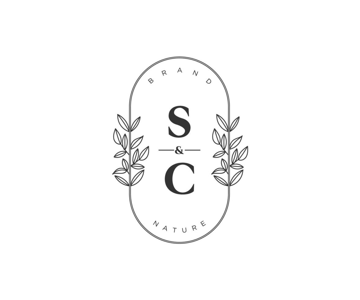 Initiale sc Briefe schön Blumen- feminin editierbar vorgefertigt Monoline Logo geeignet zum Spa Salon Haut Haar Schönheit Boutique und kosmetisch Unternehmen. vektor