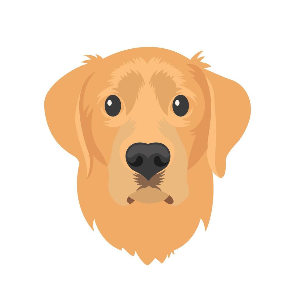 gyllene retriever hund vektor illustration