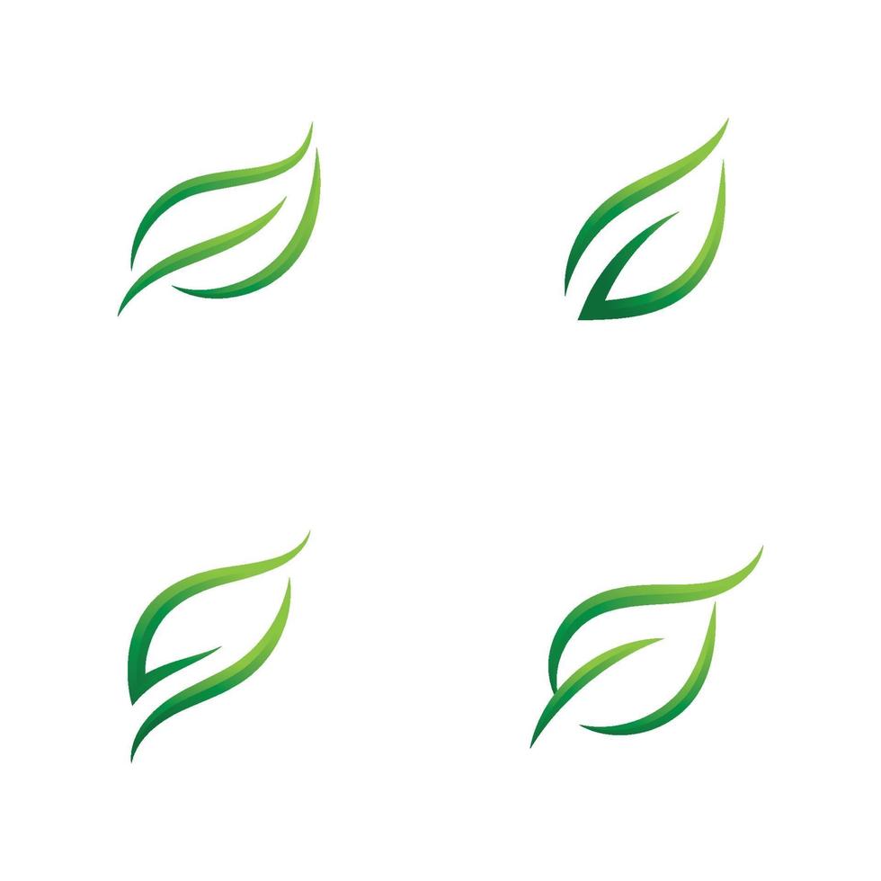 grünes Blattvektorillustrationsdesign der Ökologieikone vektor