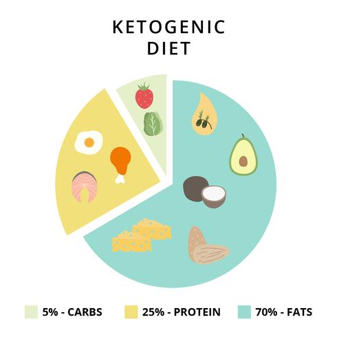 Ketogen Diet Vector Illustrator