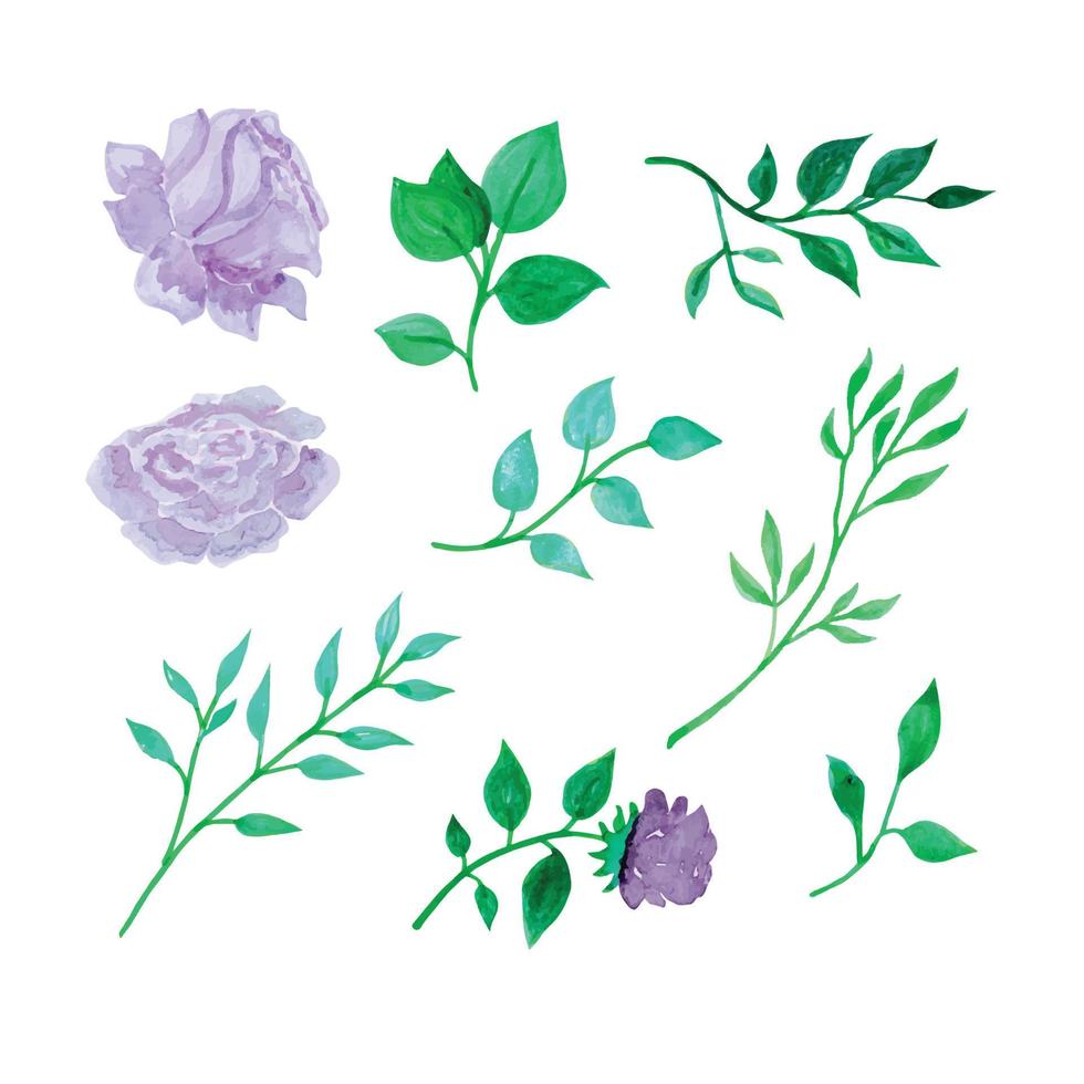 hand dragen botanisk blommor och löv, hand dragen vattenfärg vektor illustration för hälsning kort eller inbjudan design
