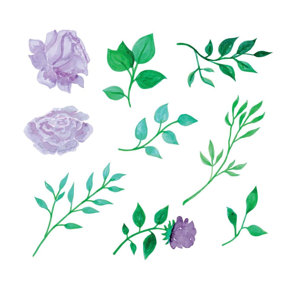 Hand gezeichnet botanisch Blumen und Blätter, Hand gezeichnet Aquarell Vektor Illustration zum Gruß Karte oder Einladung Design