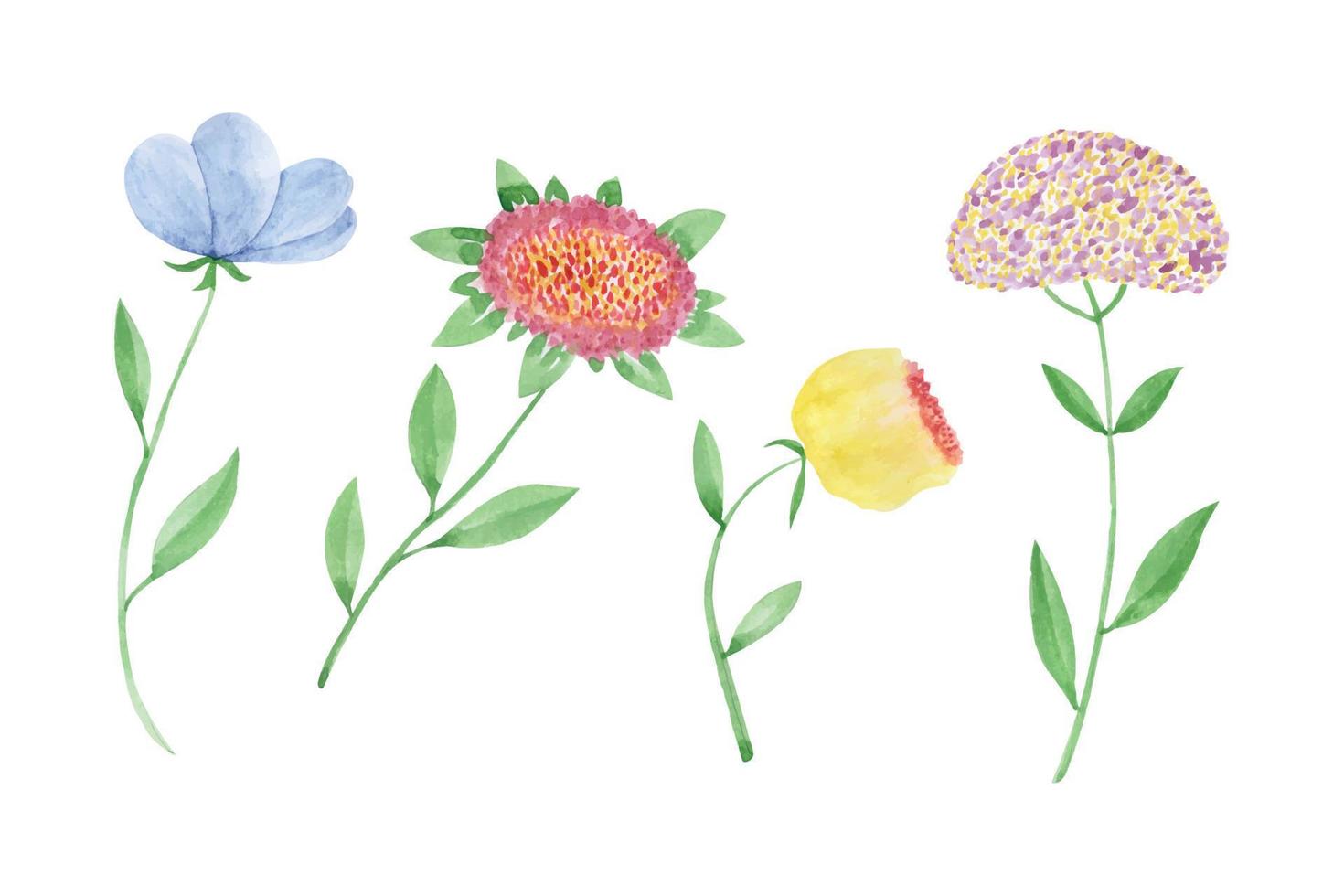 kostenlos Vektor botanisch Blume und Blätter, Hand gezeichnet Aquarell Vektor Illustration zum Gruß Karte oder Einladung Design