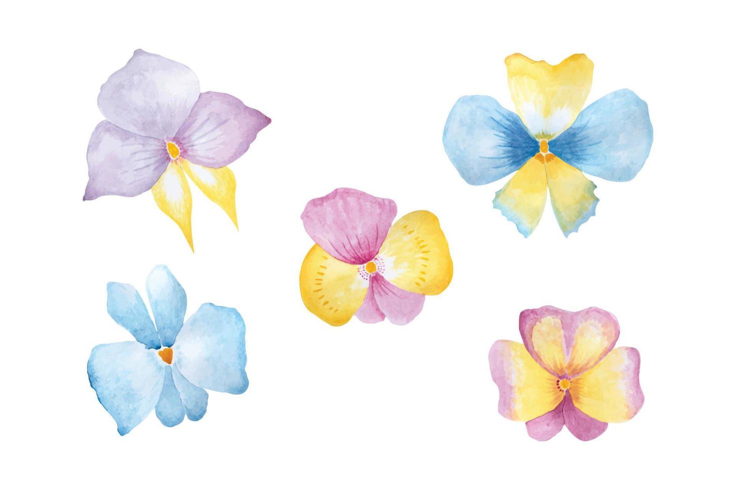 orkide blommor samling, hand dragen vattenfärg vektor illustration för hälsning kort eller inbjudan design