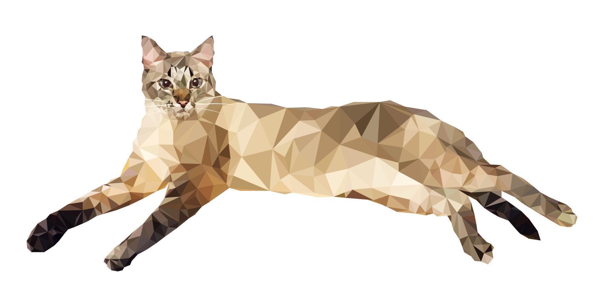 vektorillustration i låg polygonstil. katt på en vit bakgrund. vektor