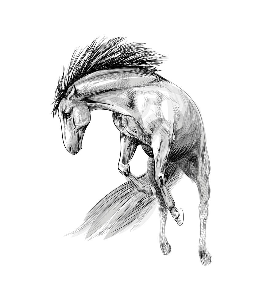 Pferderennen galoppieren auf einem weißen Hintergrund. handgezeichnete Skizze. Vektorillustration von Farben vektor