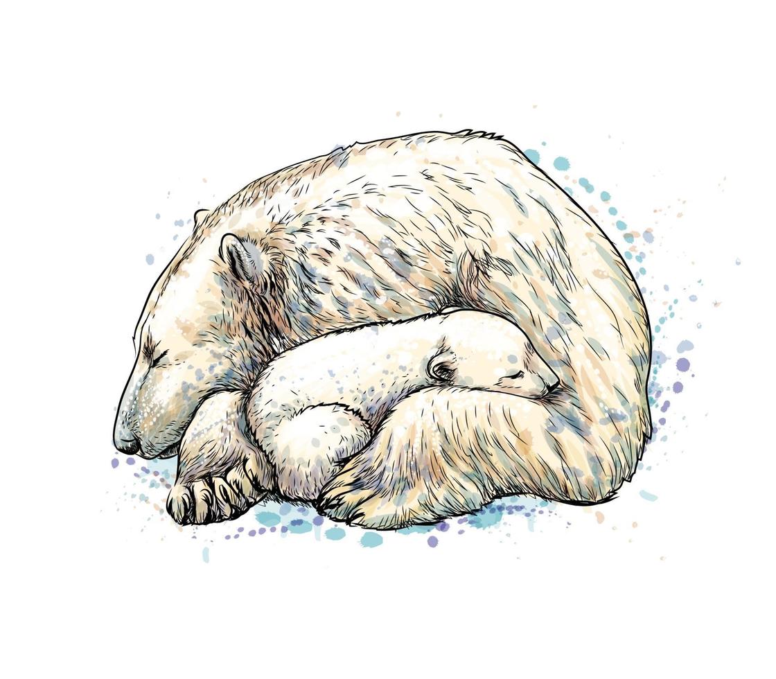 isbjörn med ungen från ett stänk av akvarell, handritad skiss. vektor illustration av färger