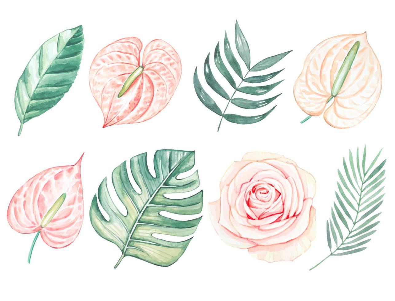 Sammlung von tropisch Blätter und Blumen von Anthurie, Rose Knospe. Aquarell vektor
