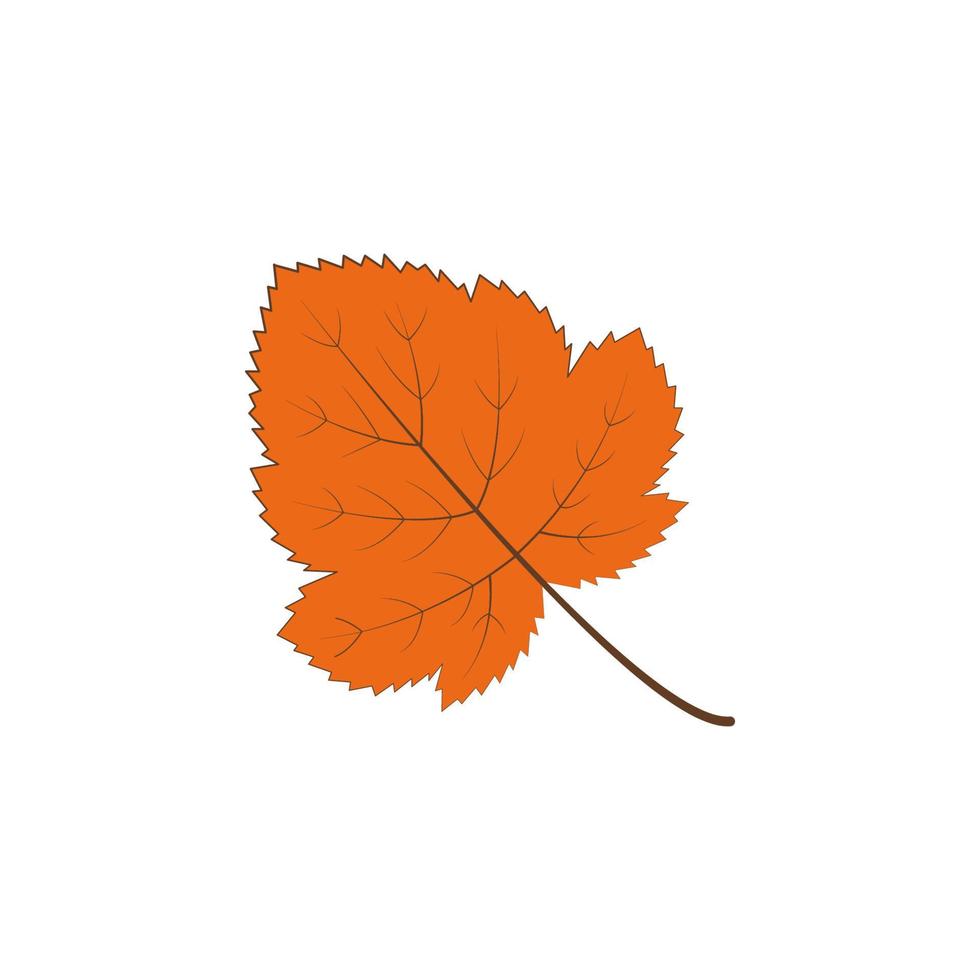 Herbst Orange Farbe Blatt Vektor Symbol