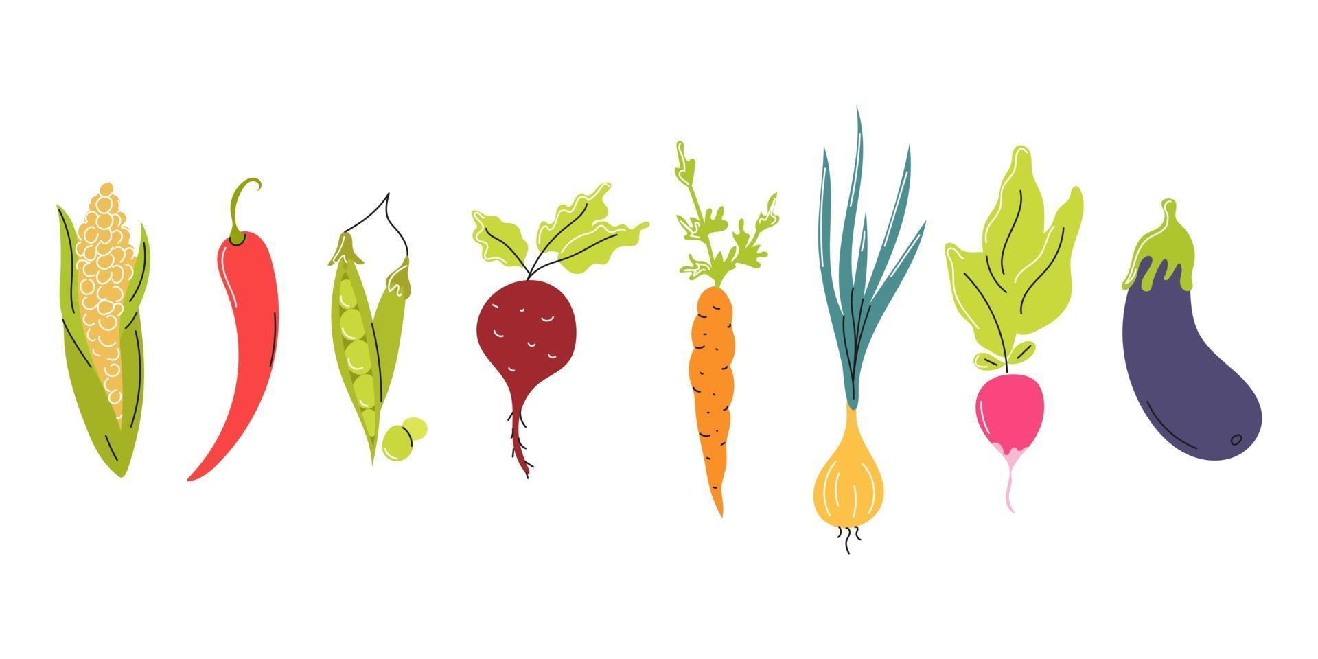 Satz frisches Gemüse in einer Reihe auf einem weißen Hintergrund angeordnet. natürliche Nahrung, Vegetarismus. Vektor flaches Bild, Symbol