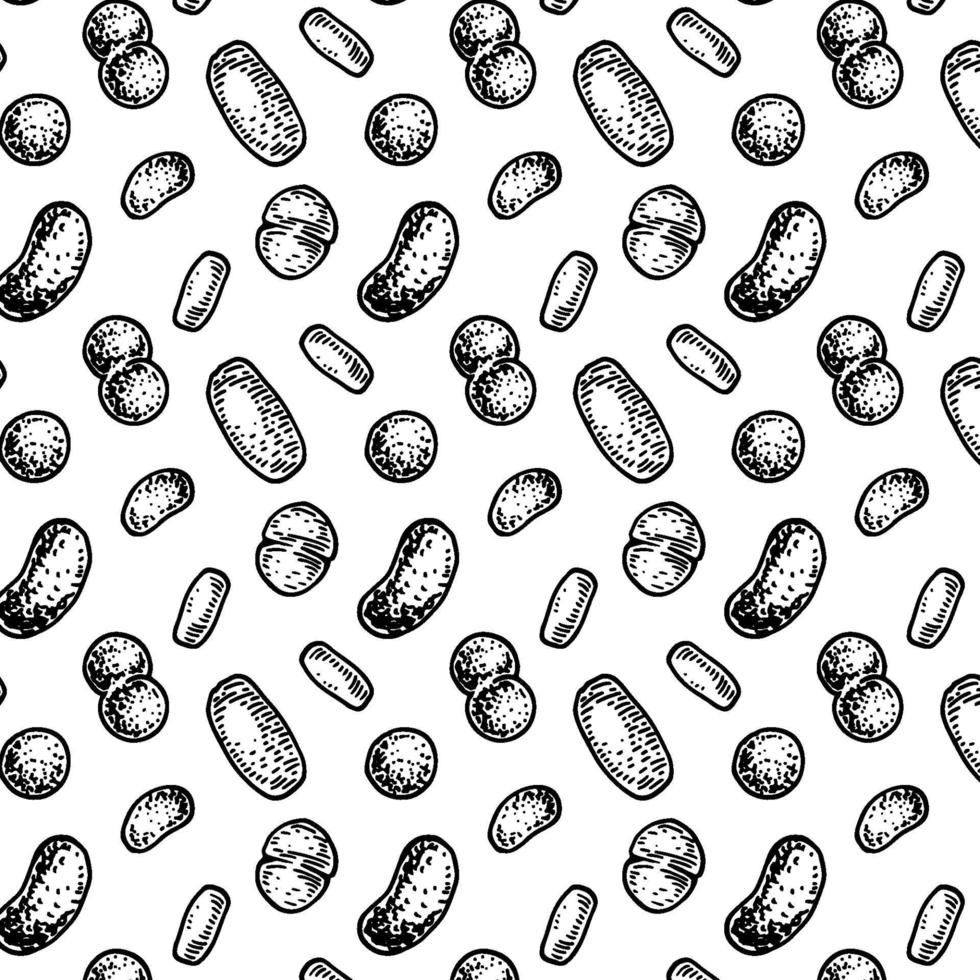 bakteriemönster i realistisk skissstile. handritad medicinsk bakgrund. vektor illustration