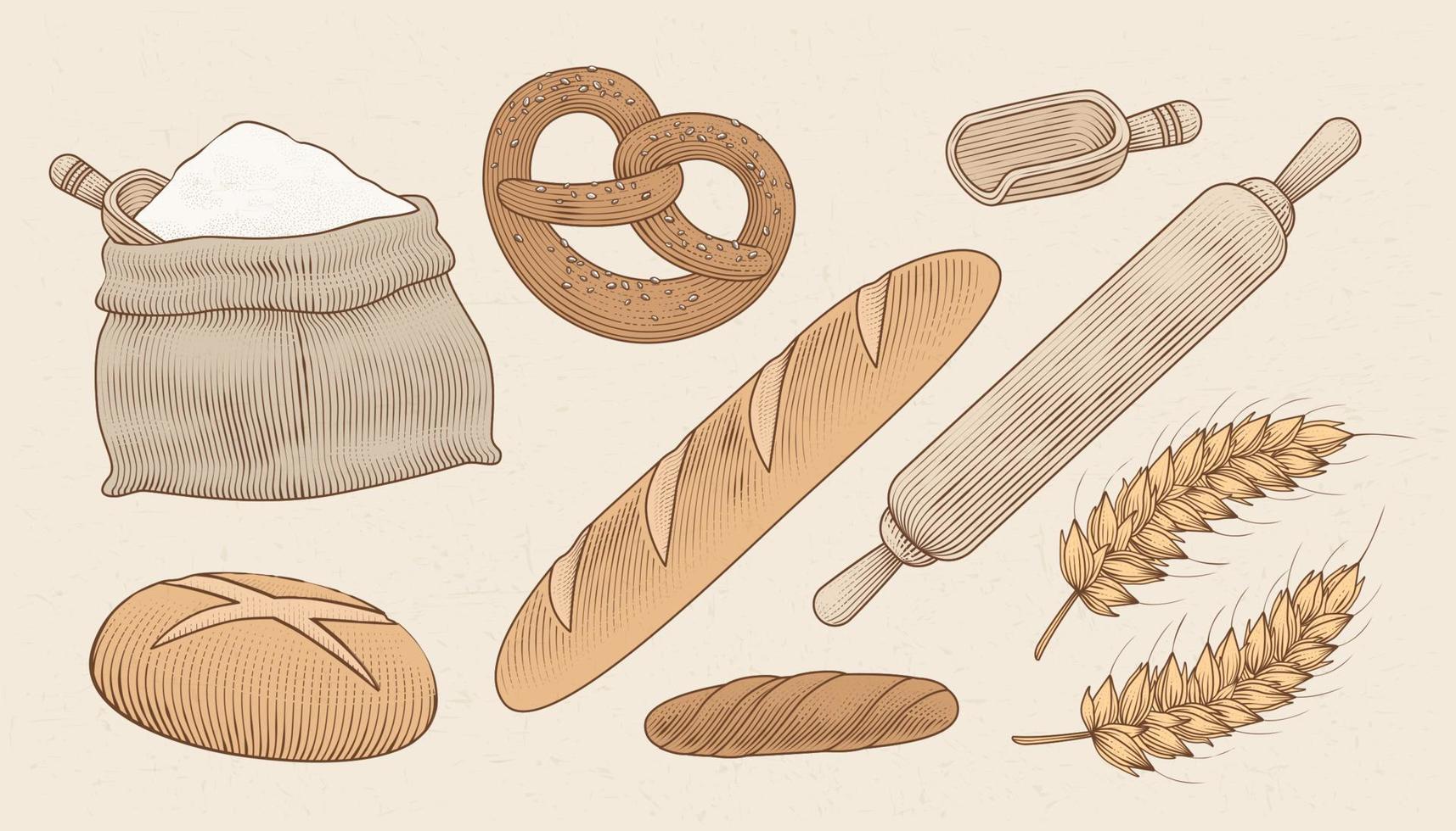 gravyr illustrationer av bröd, bakning redskap, och rå material för de framställning bearbeta vektor