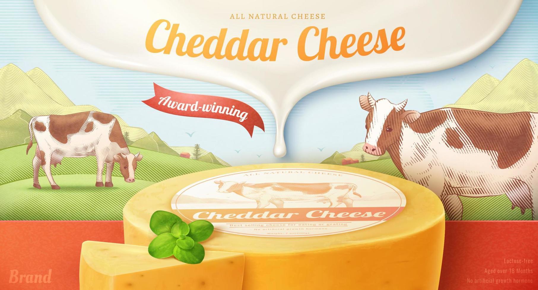 3d Cheddar Käse Banner Anzeige. Illustration von frisch Milch tropft auf das beschriftet Käse Rad auf ein Gravur Landschaft Bauernhof vektor