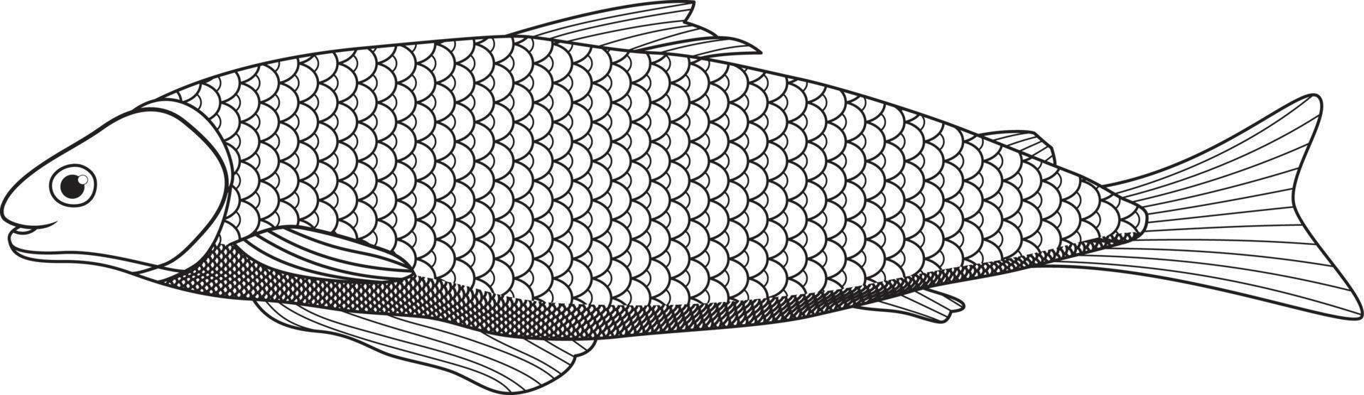 Cyprinus Carpio roh Karpfen See Fisch Konzept Kunst Vektor Illustration schwarz und Weiß Aufkleber tätowieren