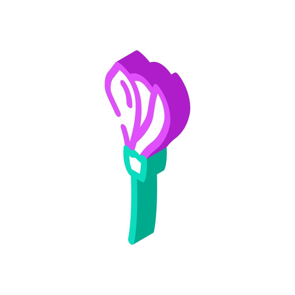 fresia blomma vår isometrisk ikon vektor illustration