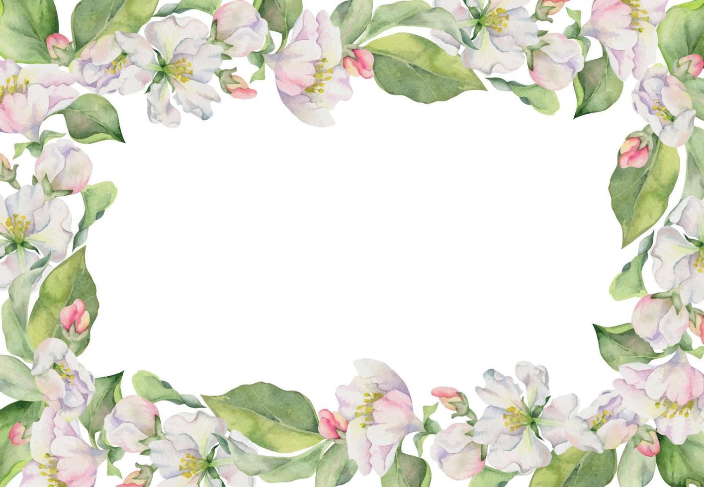 Hand gezeichnet Aquarell Apfel Blüte, Weiß und Rosa Blumen mit Grün Blätter. Platz Rahmen Komposition. isoliert Objekt auf Weiß Hintergrund. Design zum Mauer Kunst, Hochzeit, drucken, Stoff, Abdeckung, Karte. vektor