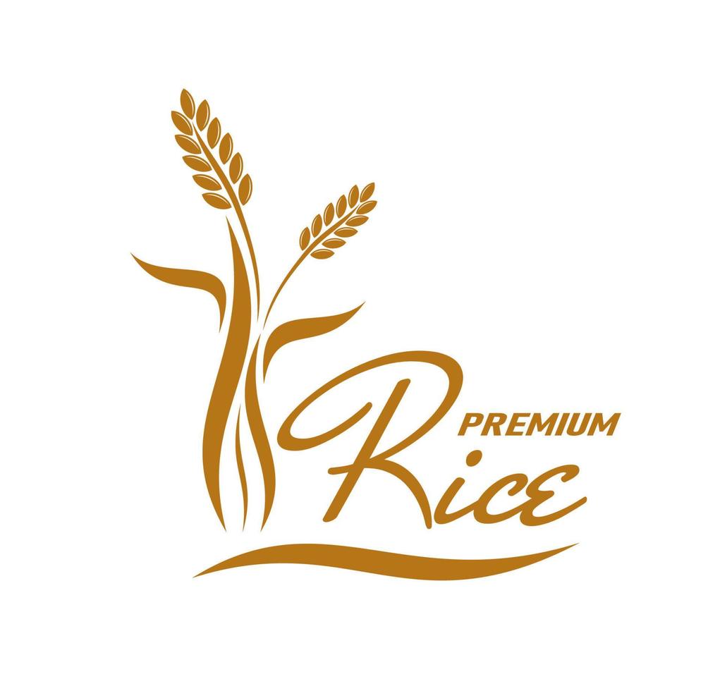 Reis Ernte, natürlich Essen Landwirtschaft Symbol vektor