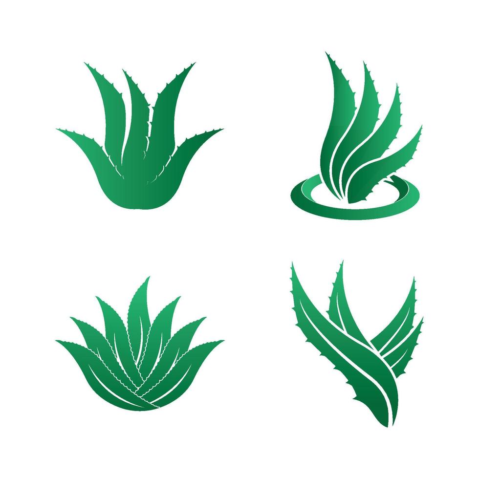 aloe vera logotyp ikon design symbol skönhet vektor