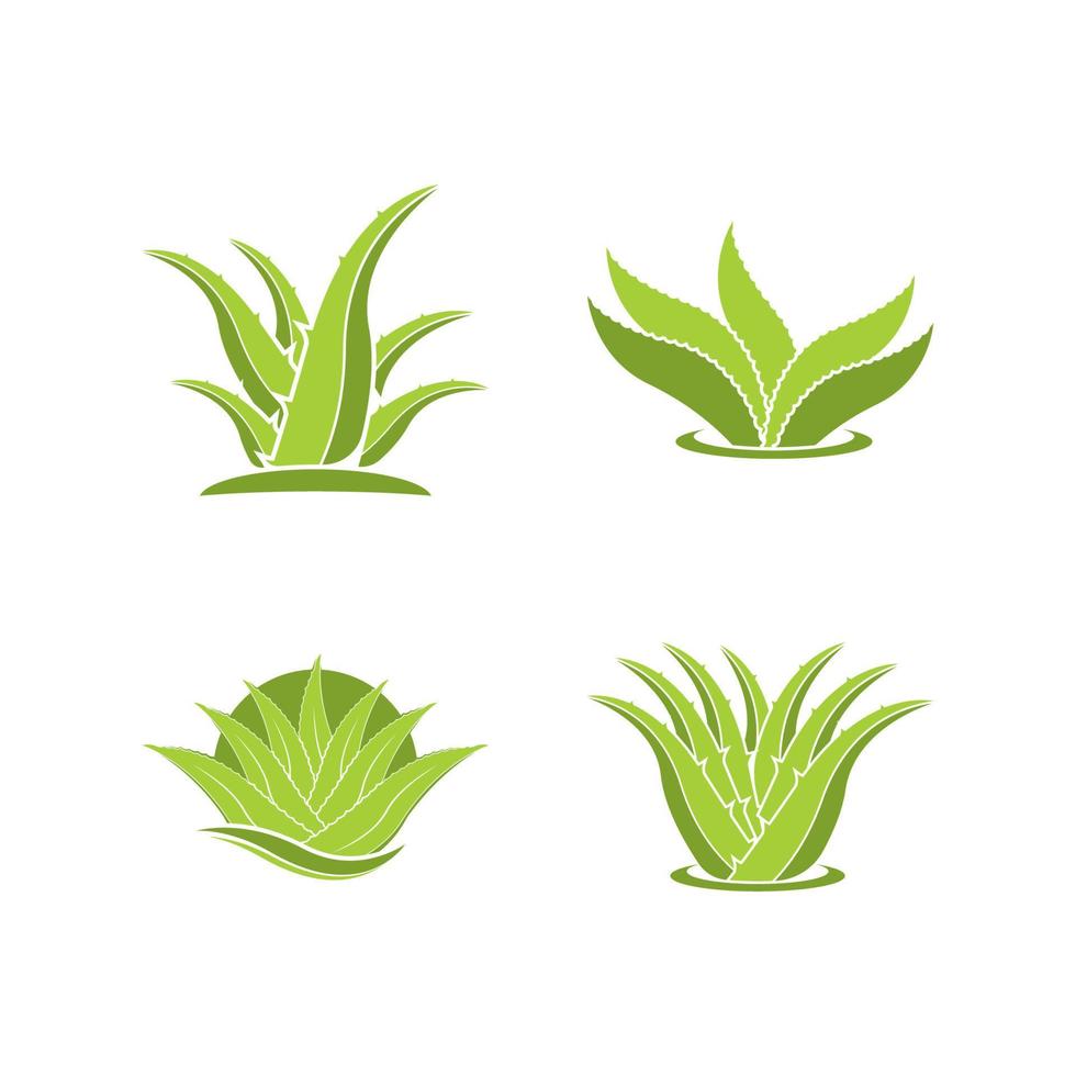 aloe vera logotyp ikon design symbol skönhet vektor