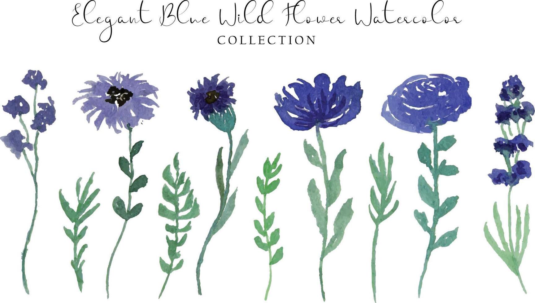 schön Blau wild Blume Aquarell Sammlung vektor