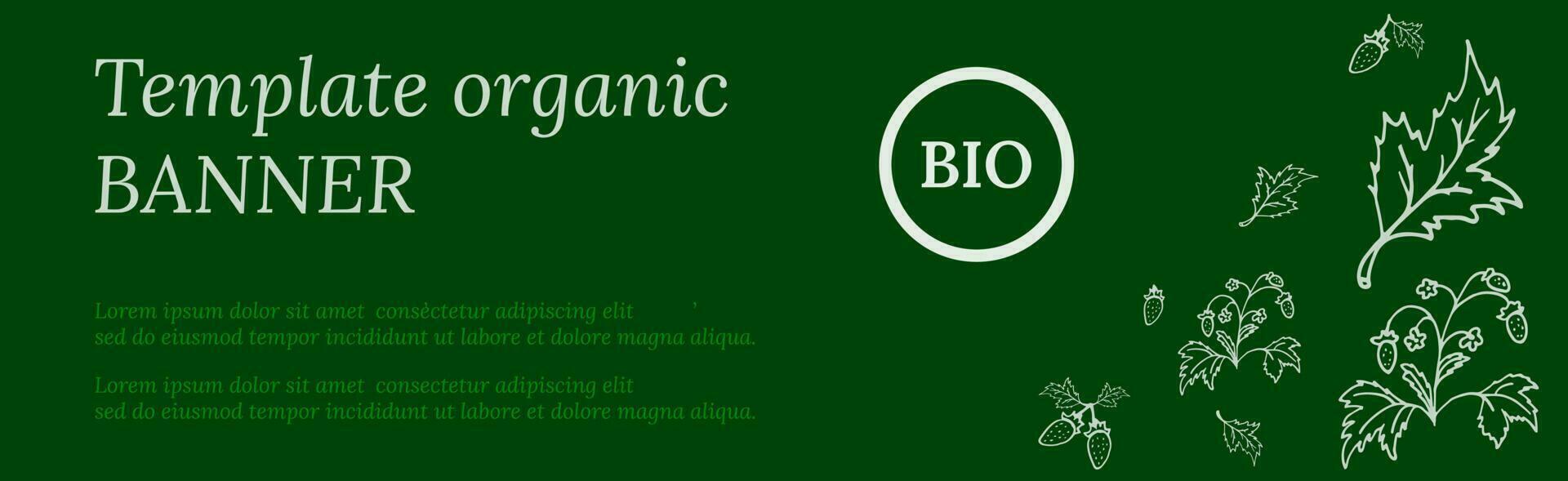 organisk baner mall med grönt och jordgubbar. vektor kopia Plats. friska livsstil begrepp.