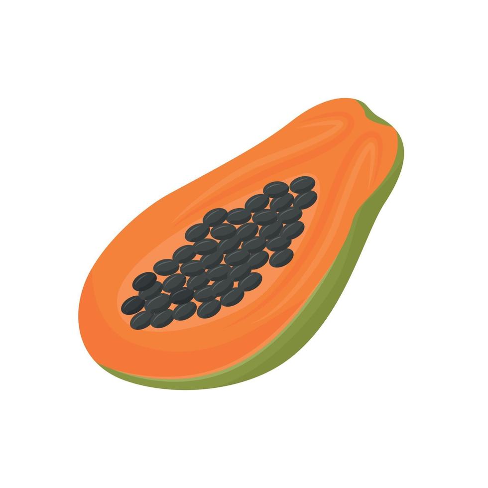 Papaya-Cartoon-Vektorillustration. Bio-Lebensmittel, süßes Dessert, reife tropische Frucht flaches Farbobjekt. halbe Papaya mit Samen, exotischer Salatbestandteil lokalisiert auf weißem Hintergrund vektor