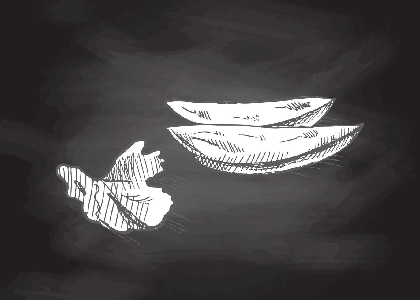 ritad för hand skiss av skivor av friterad potatisar med persilja isolerat på svarta tavlan bakgrund. snabb mat illustration. årgång teckning. element för de design av etiketter, förpackning och vykort. vektor
