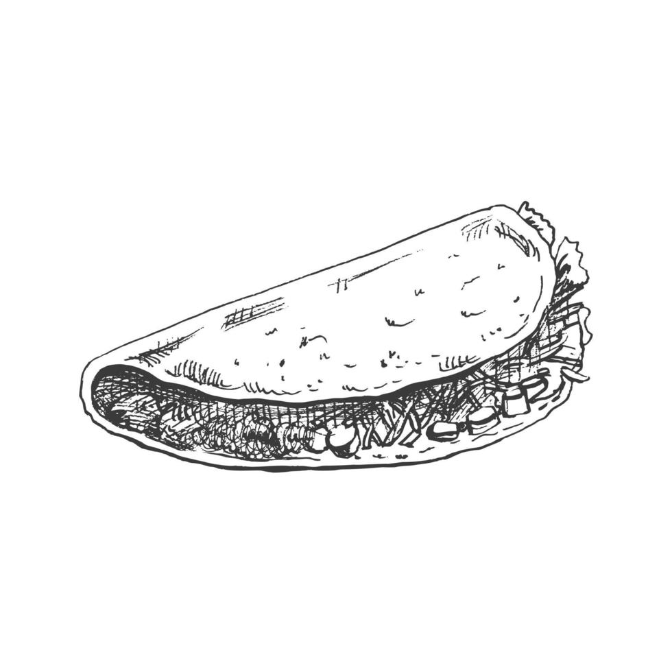 handgemalt skizzieren von Taco auf Weiß Hintergrund. schnell Essen Jahrgang Illustration. Element zum das Design von Etiketten, Verpackung und Postkarten vektor