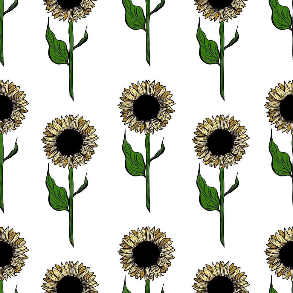 nahtlose Muster-Sonnenblumenblumen-Linienkunst. schwarze, weiße und gelbe Illustration einer Sonnenblume. handgezeichnetes dekoratives blühendes Sonnenblumenelement im Vektor