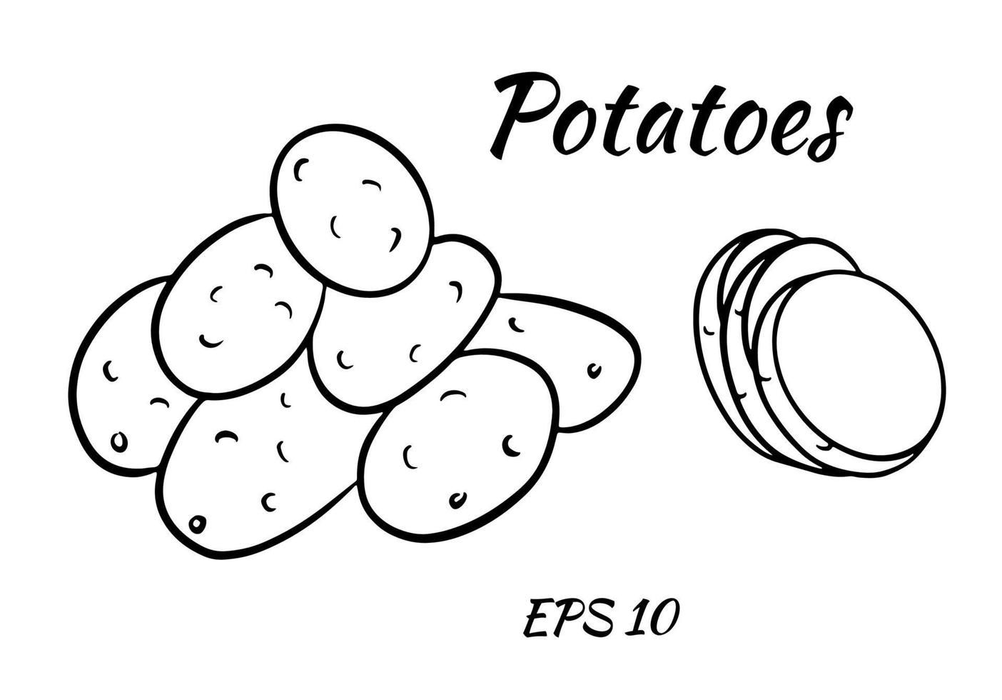Vektorsatz mit Kartoffelumriss vektor