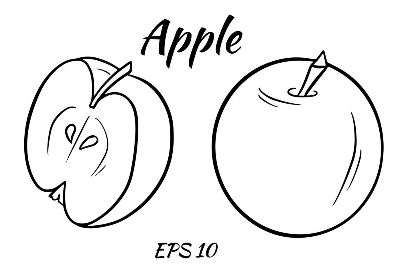 Vektorillustration eines Apfels. geschnittener Apfel lokalisiert auf einem weißen Hintergrund. vektor