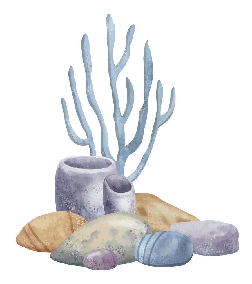 Korallen und Meeresboden Steine auf isoliert Hintergrund. Hand gezeichnet Aquarell Illustration mit Meer Fußboden und Algen zum Symbol. unter Wasser bunt Zeichnung zum Clip Art. unterseeisch skizzieren im Pastell- Farben vektor