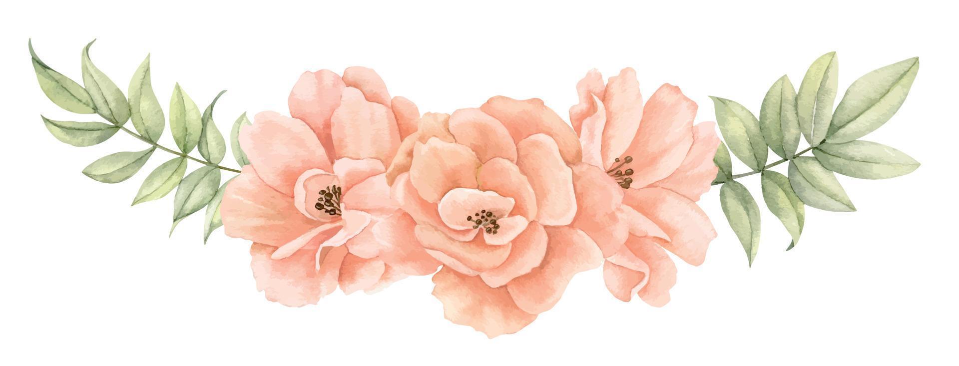 vattenfärg reste sig blommor. hand dragen blommig illustration av blomning växter på isolerat bakgrund för hälsning kort eller bröllop inbjudningar i pastell beige och blek rosa färger. botanisk sammansättning vektor