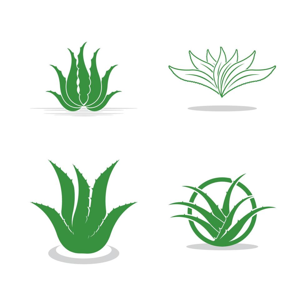 Aloe vera Logo Symbol Design Symbol Schönheit vektor