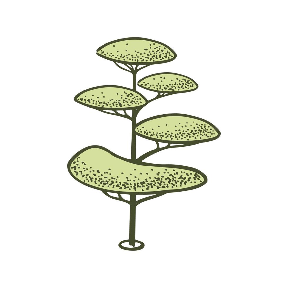 skizzieren von Topiary Nadelbaum Bäume. getrimmt Thuja. geometrisch Bäume zum Werbung und Landschaft Design. isoliert auf Weiß Hintergrund. Vektor