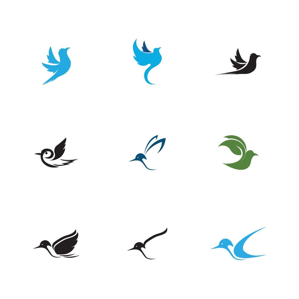 fågel logotyp och symbol vektor