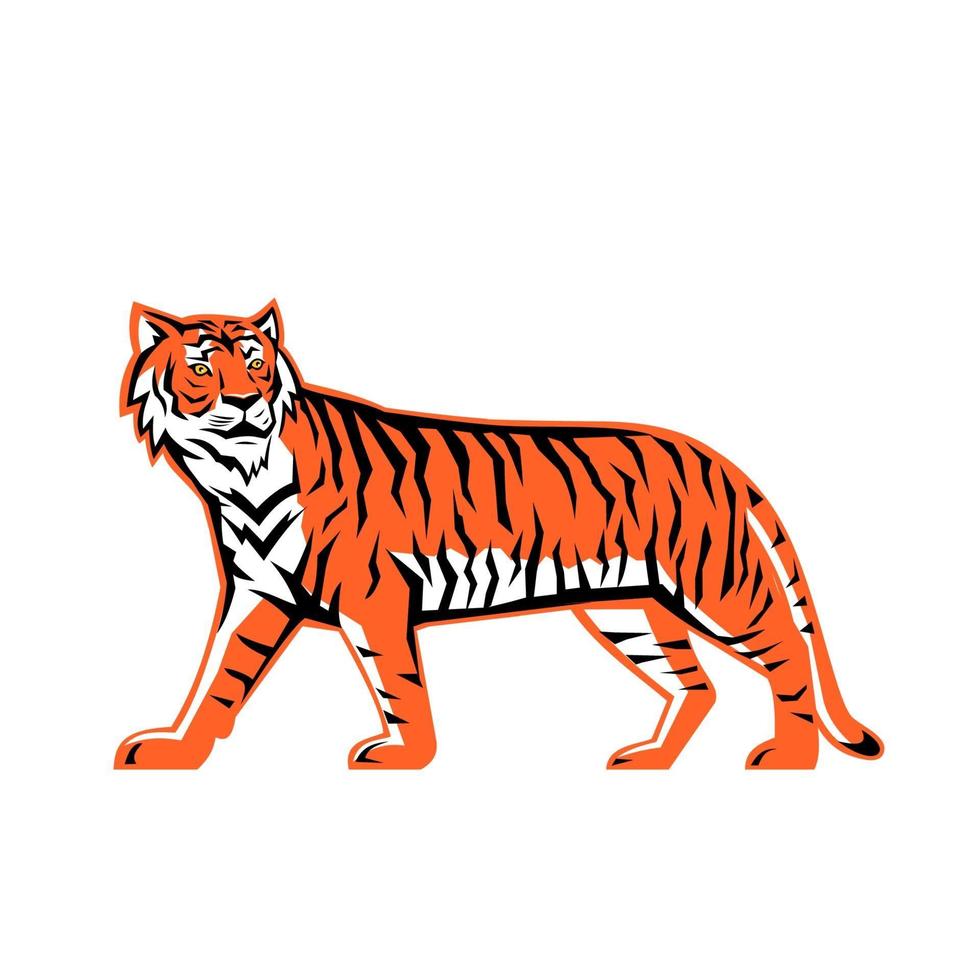 Bengal Tiger Ganzkörper Maskottchen vektor
