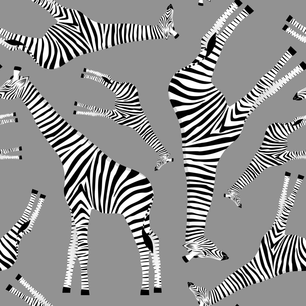 grauer Hintergrund mit Giraffen, die Zebras sein wollen vektor