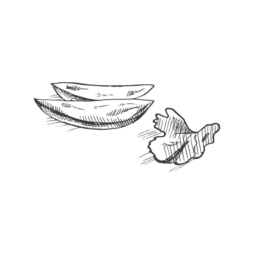 ritad för hand skiss av skivor av friterad potatisar med persilja isolerat på vit bakgrund. snabb mat illustration. årgång teckning. element för de design av etiketter, förpackning och vykort. vektor