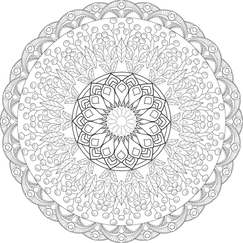 vektor teckning för färg bok. geometrisk blommig mönster. kontur teckning på en vit bakgrund. mandala.