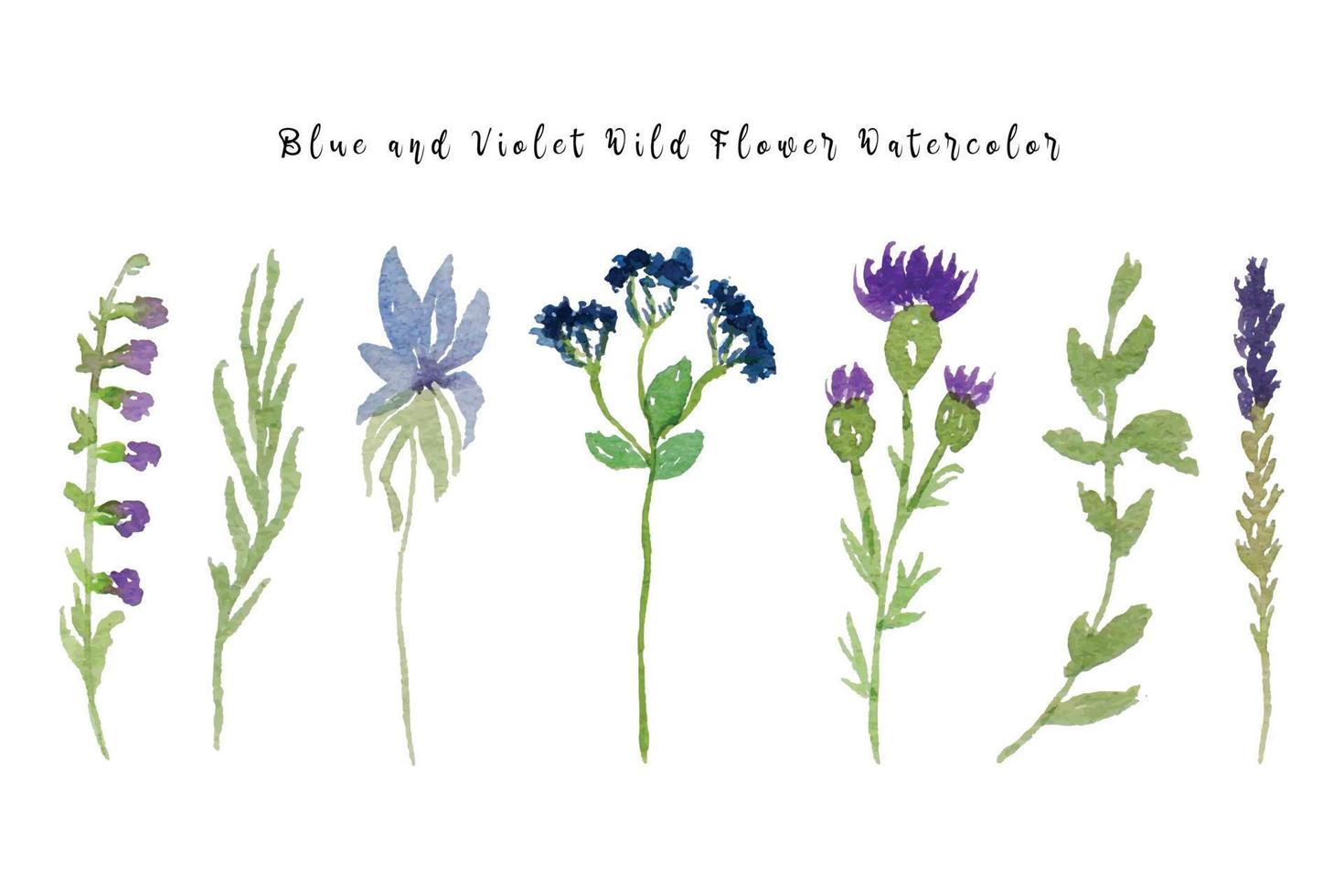 schön Frühling und Sommer- wild Blume Aquarell Sammlung vektor