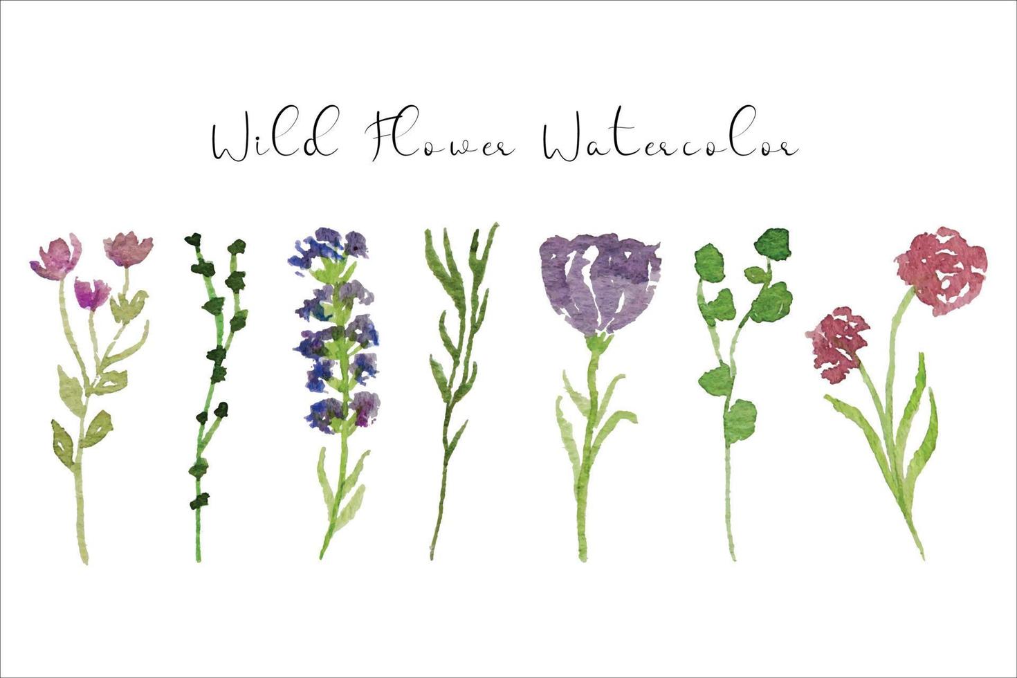 schön Frühling und Sommer- wild Blume Aquarell Sammlung vektor