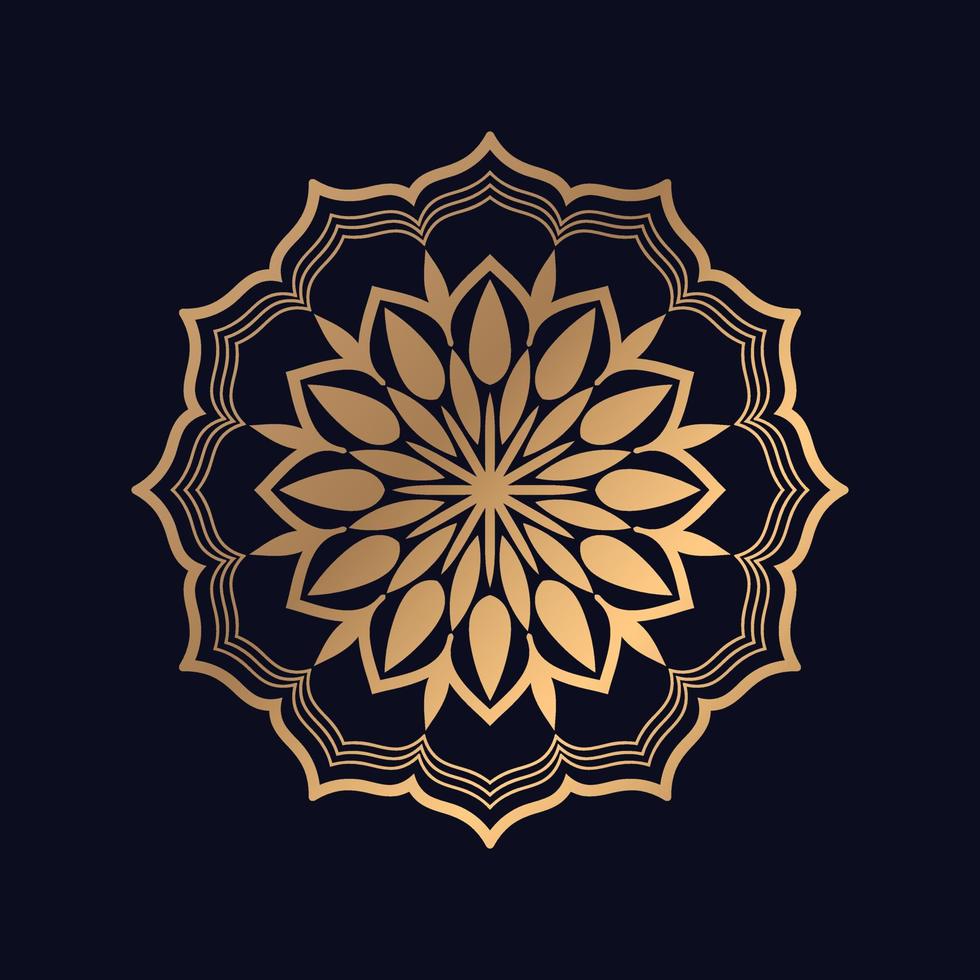 schön Mandala Gold im schwarz Hintergrund Vektor Bild