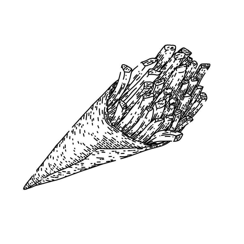 Kartoffel kostenlos skizzieren Hand gezeichnet Vektor