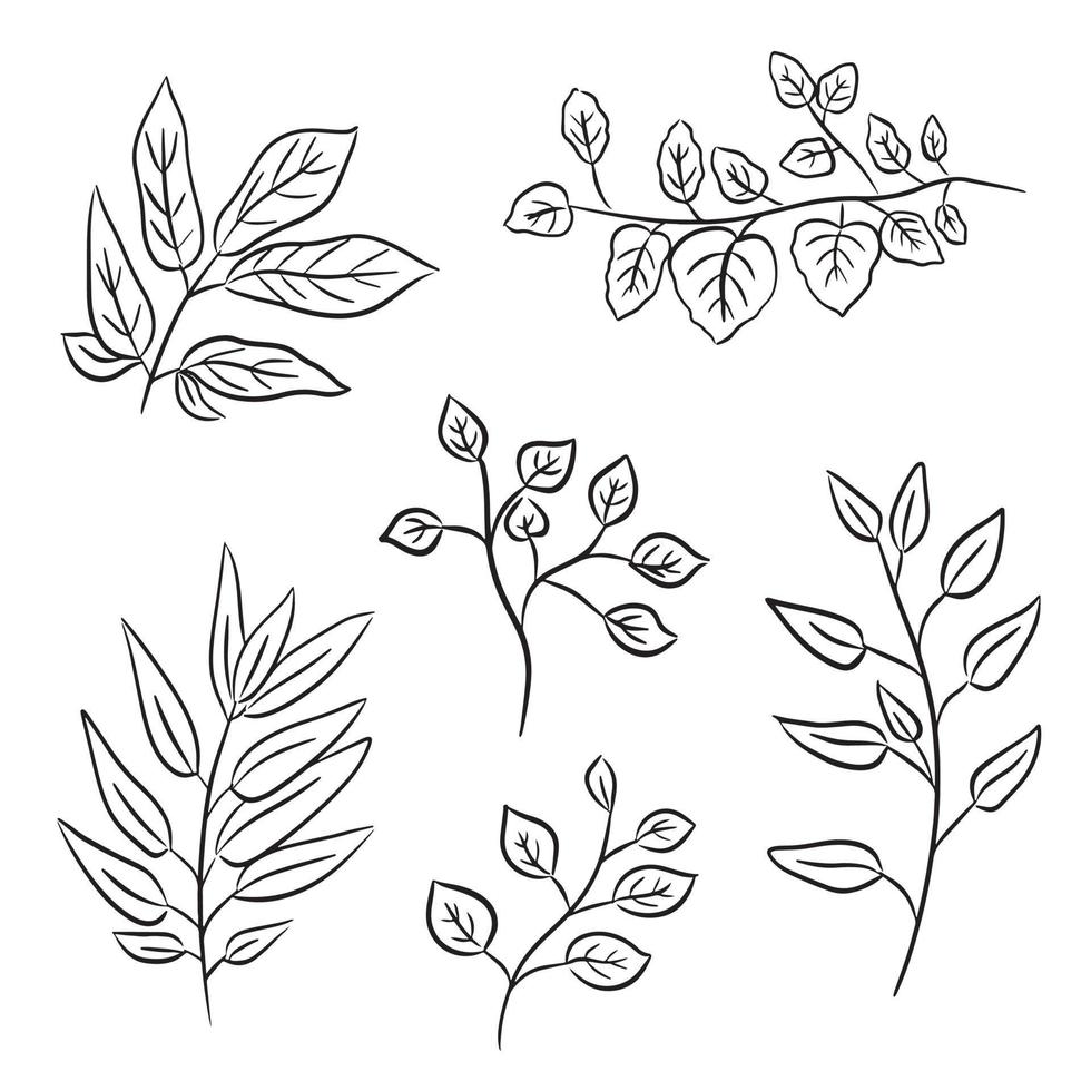 uppsättning av hand dragen skön estetisk löv linje klotter naturlig botanisk dekoration vektor